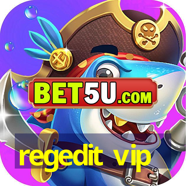 regedit vip